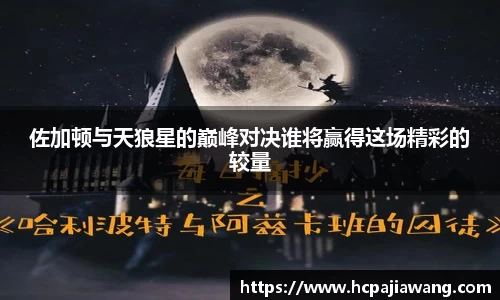佐加顿与天狼星的巅峰对决谁将赢得这场精彩的较量