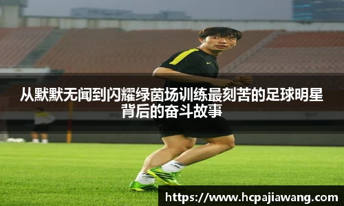 必一运动b-sports官方网站